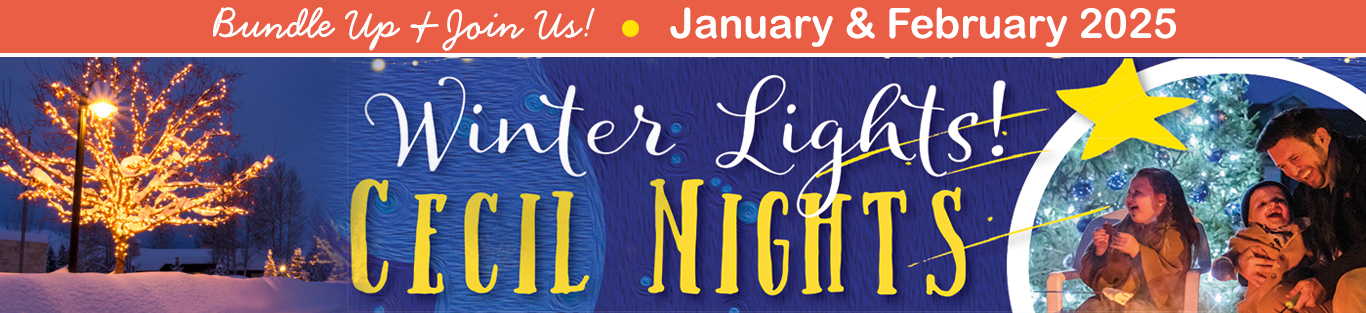 Winter lights banner