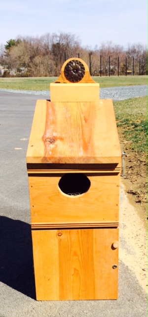 Owl Box