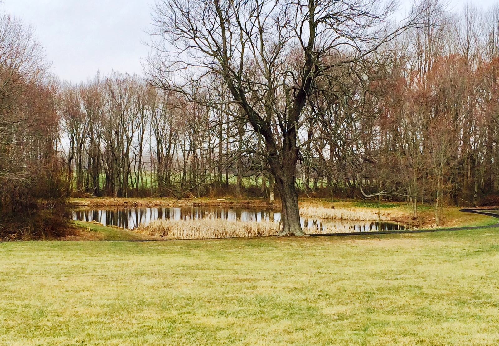 Community Center Pond