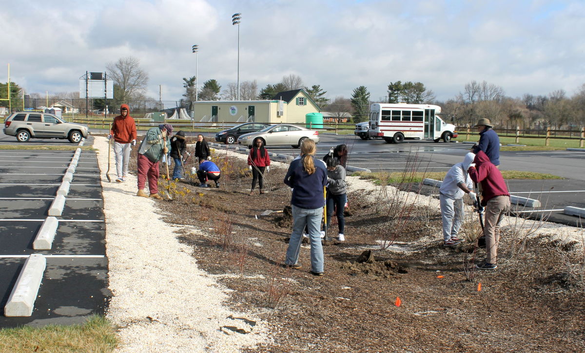 Calvert Regional Park Rain Garden 