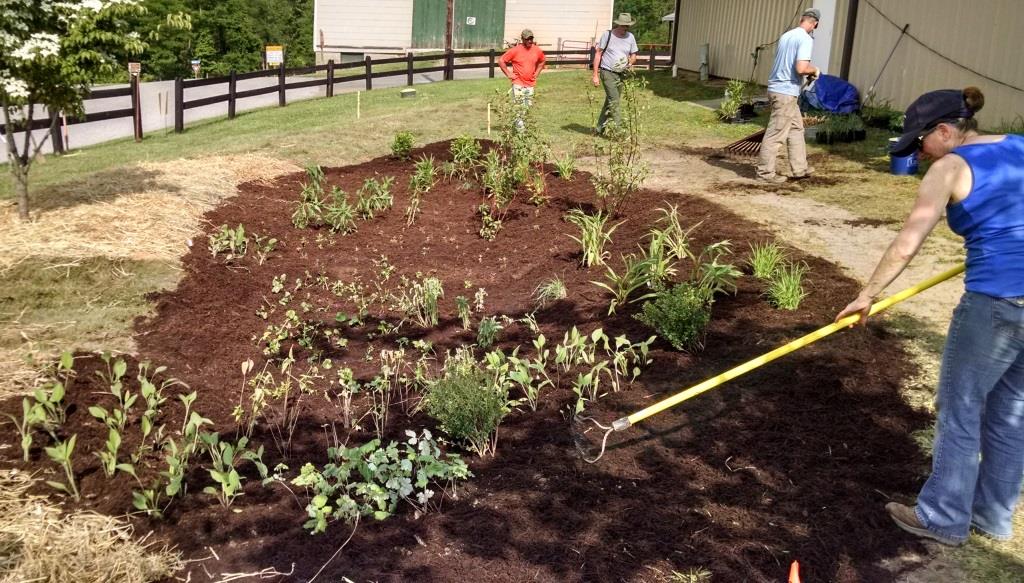 Cecil_WSA_Fair_Hill_Rain_Garden_EBuehl