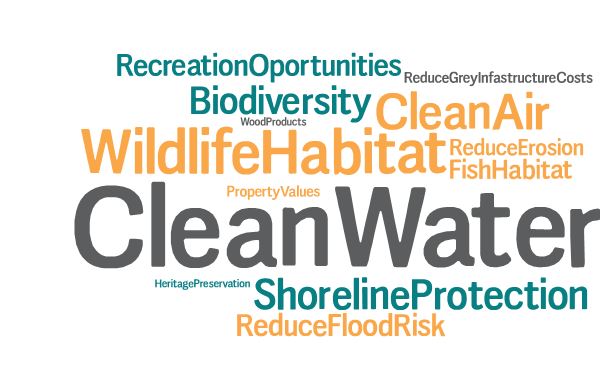 Benefits top 3 wordcloud