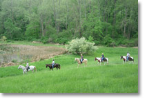 outdoor recreation horseback riding