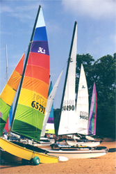 sailboats on shore