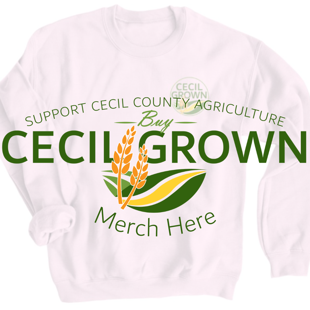 Buy Official Cecil Grown Merch Here (1)